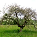 2305F 008 Marburg-Trier